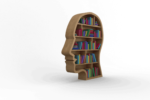 transparent head shaped bookshelf filled with colorful books - Download Free Stock Videos Pikwizard.com