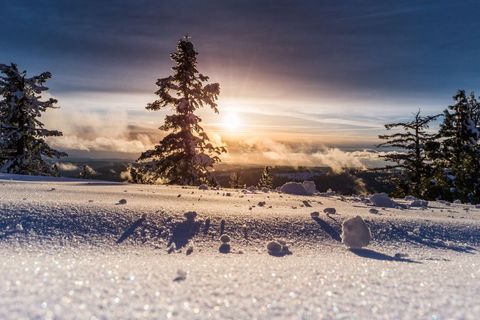 Stunning Sunset Over Snowy Landscape with Pine Trees