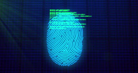 Digital Fingerprint with Code in Cybersecurity Interface