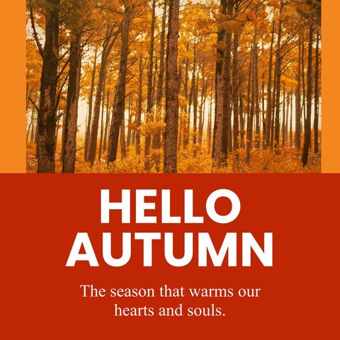 welcome autumn with colorful forest trees - Download Free Stock Templates Pikwizard.com
