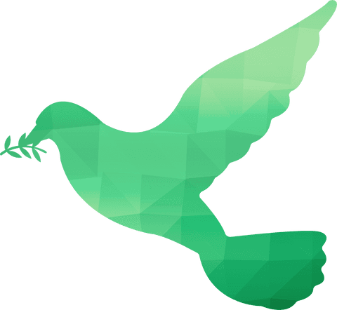transparent green origami bird with olive branch design - Download Free Stock Videos Pikwizard.com