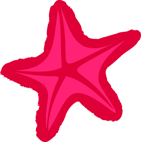 Minimalist Pink Star Icon on Transparent Background - Download Free Stock Videos Pikwizard.com
