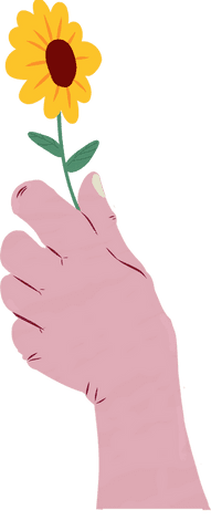 pink hand holding sunflower on transparent background - Download Free Stock Videos Pikwizard.com