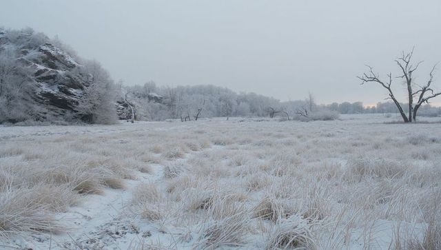 Frosted meadow trail revealing rocky bluff and lone dead tree under pale winter sky