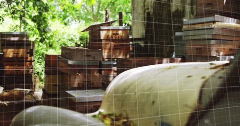 Stacked weathered wooden crates in sunlit rustic shed with blurred boat hull and greenery