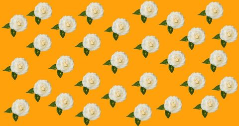 Repeating rose pattern with pink, yellow, and white blossoms on vivid orange background, ideal for floral-themed designs, wallpaper creation, textile print projects, or decorative showcases aiming to add a vibrant touch.