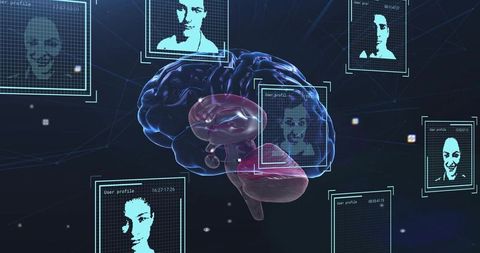Digital brain connectivity illustrating virtual user profiles