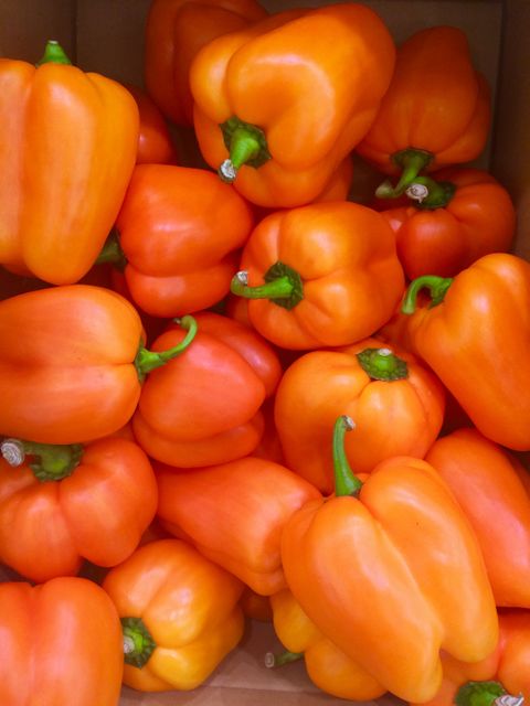 Fresh Orange Bell Peppers in Bulk Displayed for Sale - Download Free Stock Photos Pikwizard.com