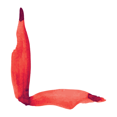 Red watercolor painted shape on transparent background vector