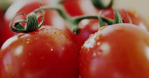 Fresh vine-ripened tomatoes with dewy finish
