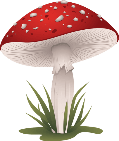 red toadstool with grass on transparent background illustration - Download Free Stock Videos Pikwizard.com