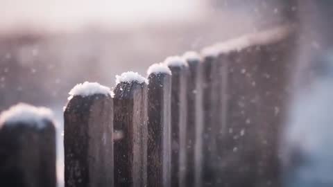 Light Snow Flurries Forming Caps on Weathered Wooden Fence in Soft Winter Backlight