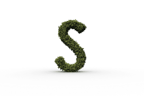 Letter S Formed in Grass with Transparent Background - Download Free Stock Videos Pikwizard.com