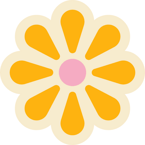 Minimalist Daisy Flower Vector on Transparent Background