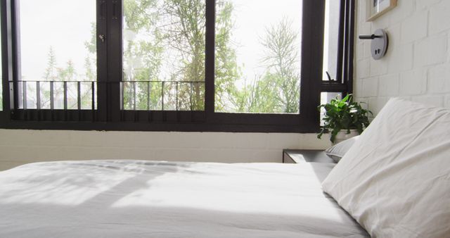 Cozy Minimalist Bedroom with Sunlight and Greenery View - Download Free Stock Photos Pikwizard.com