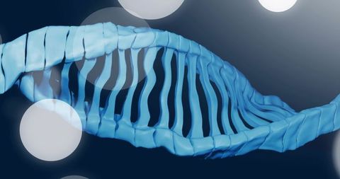 Spiraling glossy blue helix ribbed sculpture on navy gradient with white bokeh
