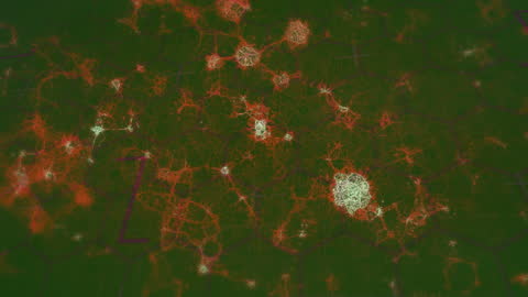 Complex Molecular Network on Digital Interface