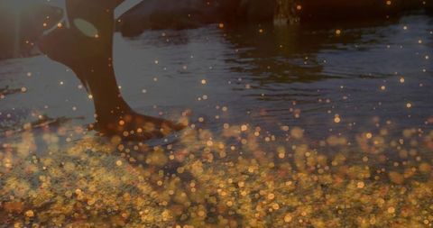Serene wading in sunset waters with golden bokeh