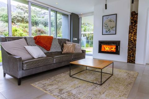 Contemporary Living Room Featuring Dark Gray Leather Sofa, Fireplace, Glass Wall