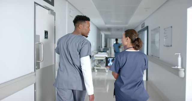 Healthcare Professionals Discussing while Walking in Hospital Corridor - Download Free Stock Images Pikwizard.com