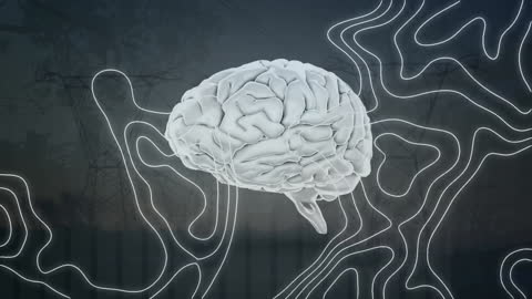 Futuristic Representation of Brain and Neural Networks