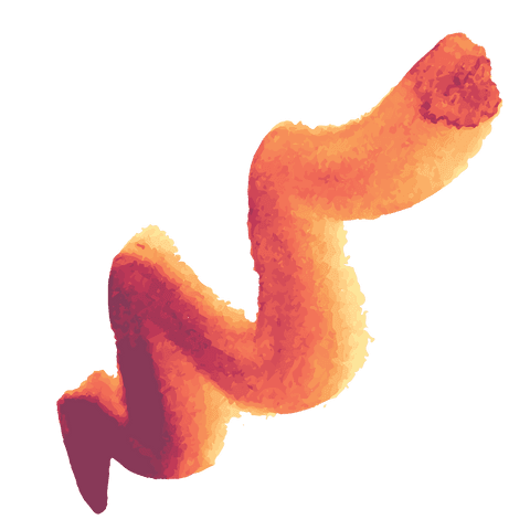 Digital Orange Paint Squiggle on Transparent Background - Download Free Stock Videos Pikwizard.com