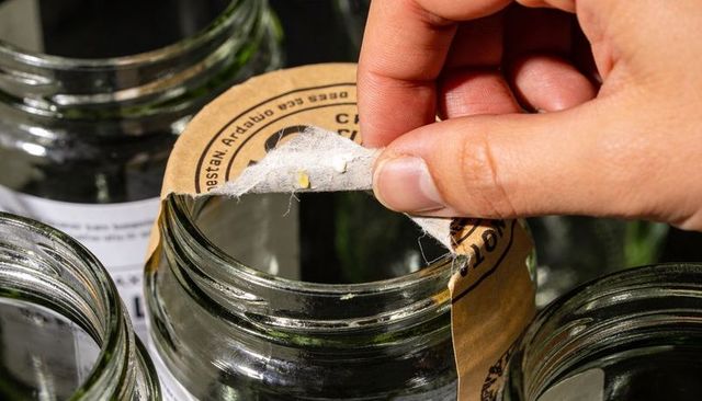 Hand peeling tamper seal from mason jar revealing sticky adhesive on glass rim