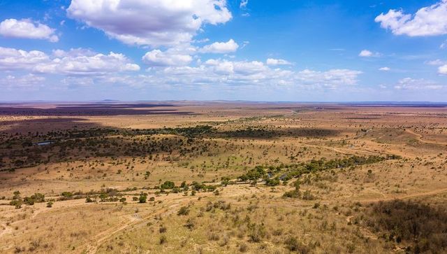 Expansive savanna panorama showing dry grassland, scattered trees and cloud shadows