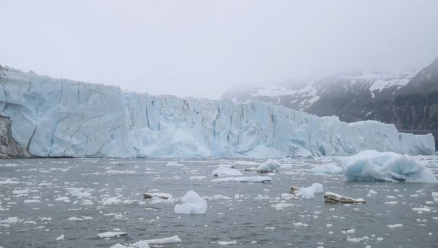 Glacier calving into fjord with floating icebergs and misty overcast arctic coastline