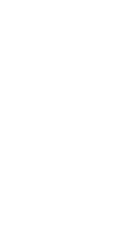 Silhouette of Female Fencer on Transparent Background