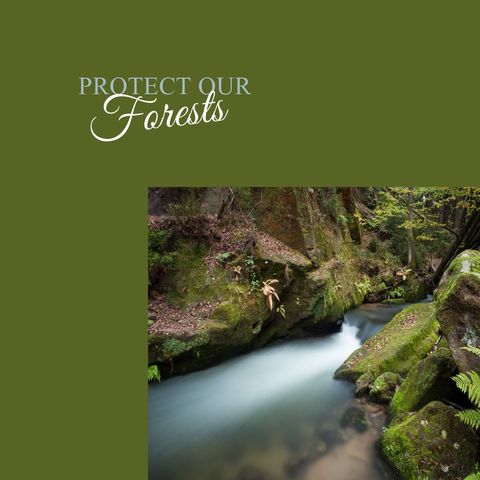 forest conservation awareness with enchanting river scene - Download Free Stock Templates Pikwizard.com