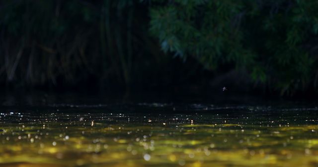 Serenely Flowing River with Sparkling Reflections in the Evening - Download Free Stock Images Pikwizard.com