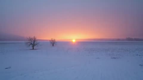 Sun rising over snowy field with twin bare trees and golden pastel winter dawn