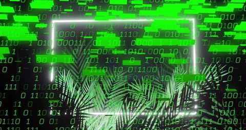 Binary code over tropical palm leaves reflects dichotomy
