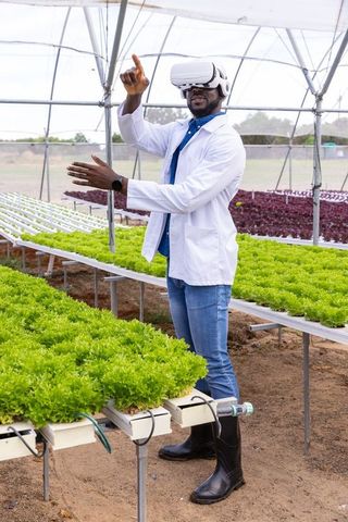 Innovative farming: researcher utilizes vr simulation in greenhouse agriculture