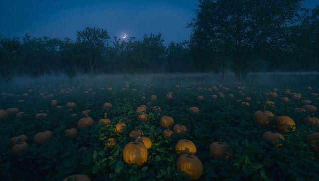 Eerie pumpkin patch under crescent moon with fog