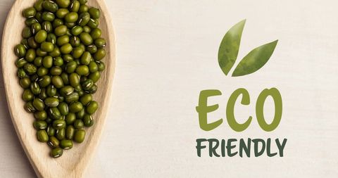Eco-Friendly Living with Green Sprouts and Vegan Produce