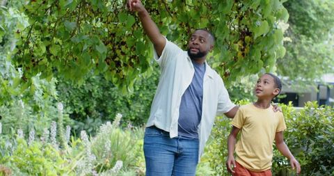 African american father pointing into leafy canopy while young son watching in garden