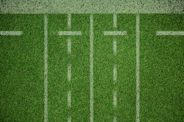 Transparent football field grass with white lines vector illustration - Download Free Stock Videos Pikwizard.com