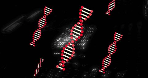 Abstract Representation of DNA Strands and Binary Code in Dark Space