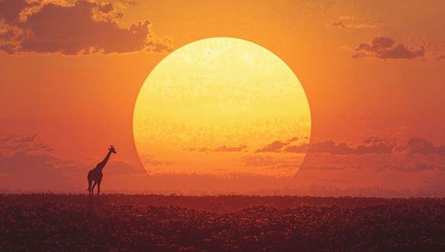 Majestic giraffe silhouette against glowing african sunset