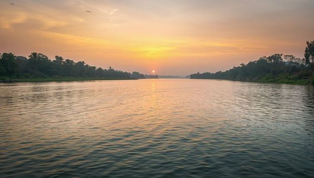Sunset over river with gentle ripples and palm-lined banks reflecting warm golden light