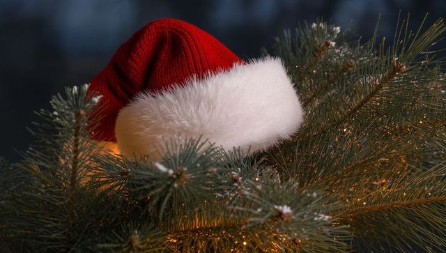 Santa hat nestling into frosted pine branches with warm twinkling lights