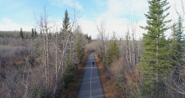 Person Cycling on Path Through Forest in Winter - Download Free Stock Images Pikwizard.com