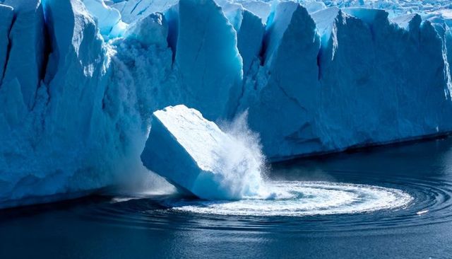 Glacier calving: plunging iceberg creating spray and concentric ripples in blue arctic waters