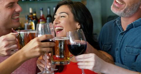 Diverse Friends Clinking Glasses in Cheerful Bar Encounter - Download Free Stock Images Pikwizard.com