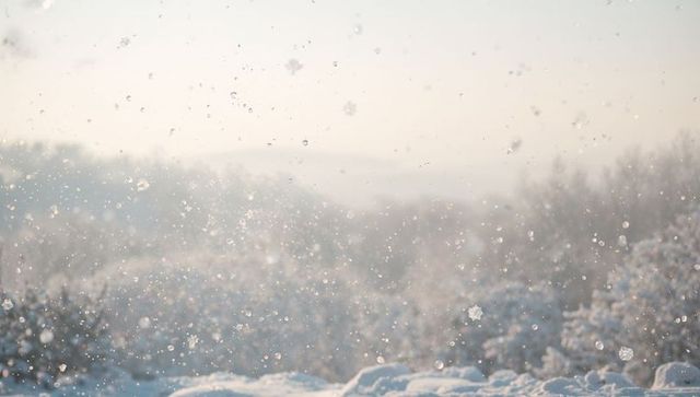 Drifting snowflakes and frosty ice crystals filling misty winter valley at sunrise