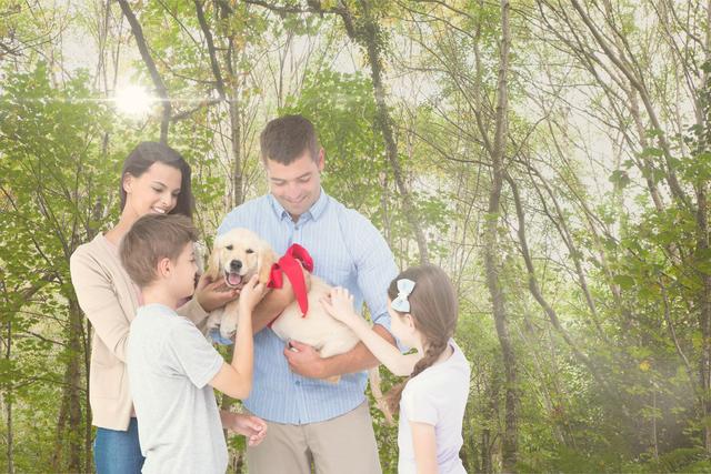 Digital composite of Happy family playing with dog in forest during summer