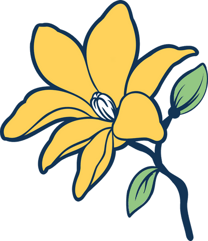 Yellow Six-Petaled Flower Illustration with Transparent Background