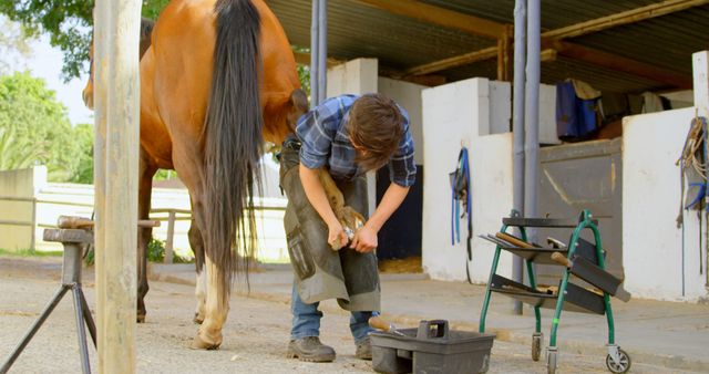Farrier grooming and trimming a horse's hooves outside in a stable area. Useful for illustrating the profession of farriery, horse care practices, rural and farm life, or animal husbandry topics. Can be used in blogs, articles, and educational materials about horse maintenance and animal care professions.